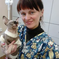 Ветеринарный иваново